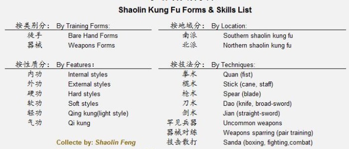 Shaolin kung fu guide