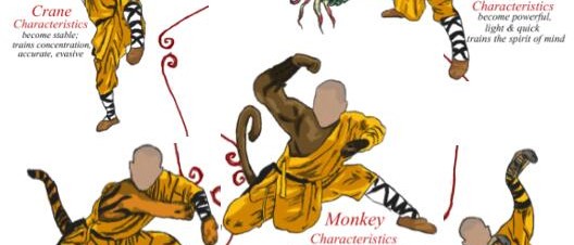 Shaolin Kung Fu Lessons and Classes - Learn Shaolin Kungfu in China